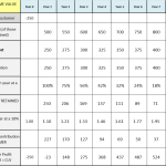 The customer lifetime value calculation (step-by-step)